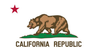 California Executive Order Expands AI Oversight Through State Procurement