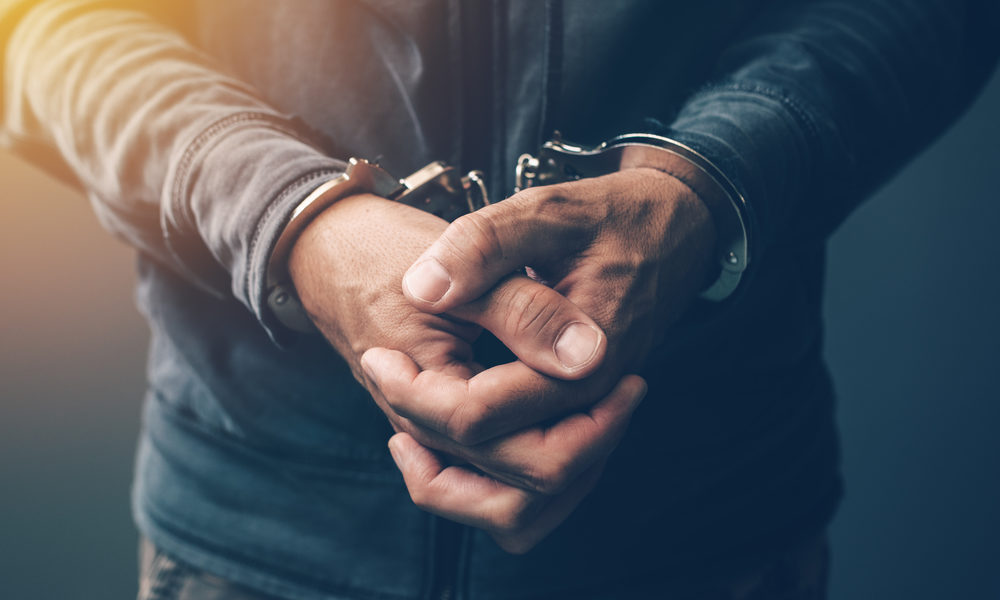 Fact Sheet: President Donald J. Trump Establishes New Department of Justice Division for National Fraud Enforcement