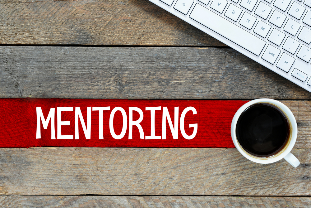 DFARS – DoD Mentor- Protege Program