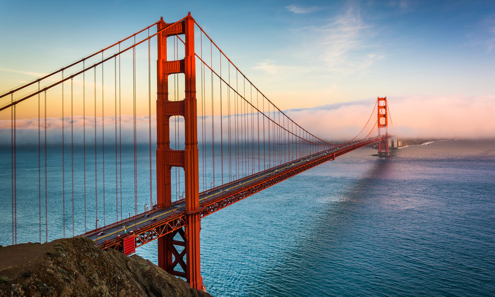 Companies Pay Back Duplicate Paycheck Protection Program Loans