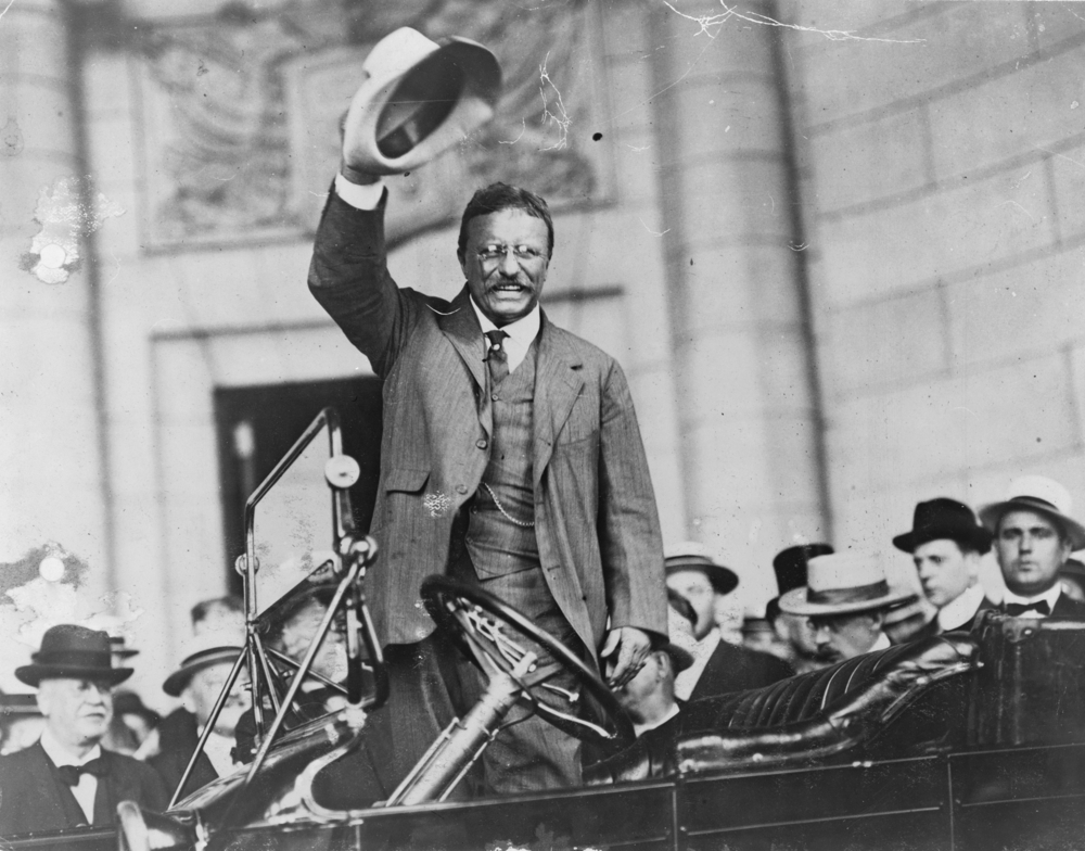 Contract to Remove a Tree Once Owned by Teddy Roosevelt Did Not Give Contractor a Property Right in the Tree; Looks Great Services, Inc. v. United States, COFC No. 19-937C