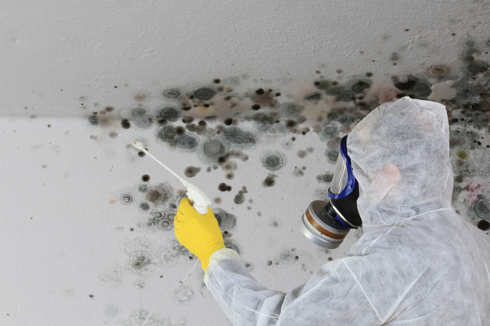 Construction Project Had a Mold Problem. Why Was the Government Responsible?