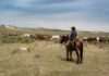 GAO Bid Protest Roundup: May 18-22