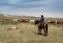 GAO Bid Protest Roundup: May 18-22
