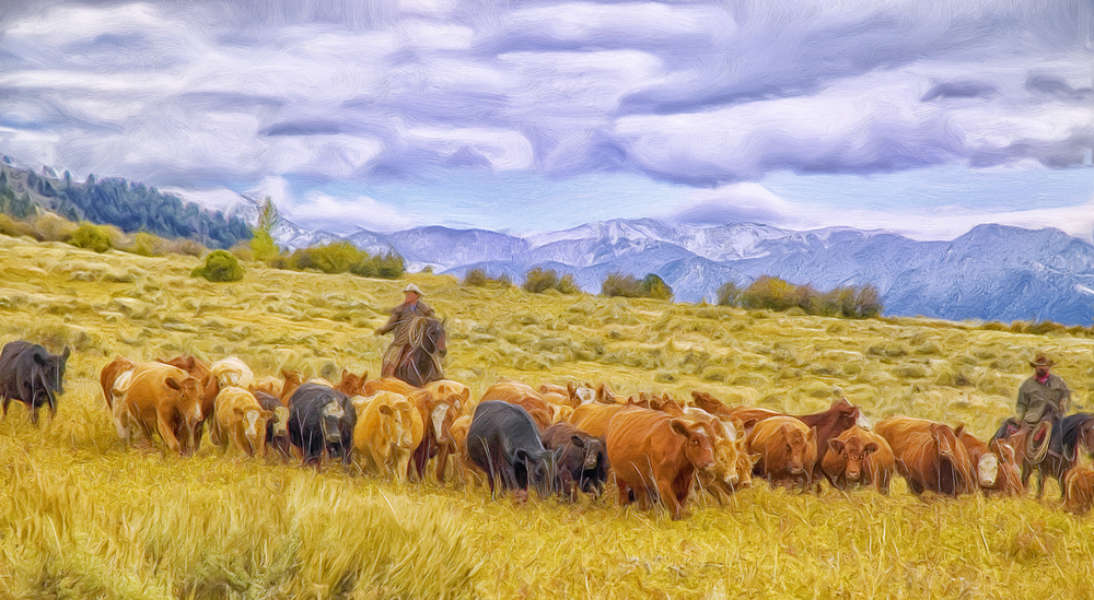 Government Contracts Legal Round-Up