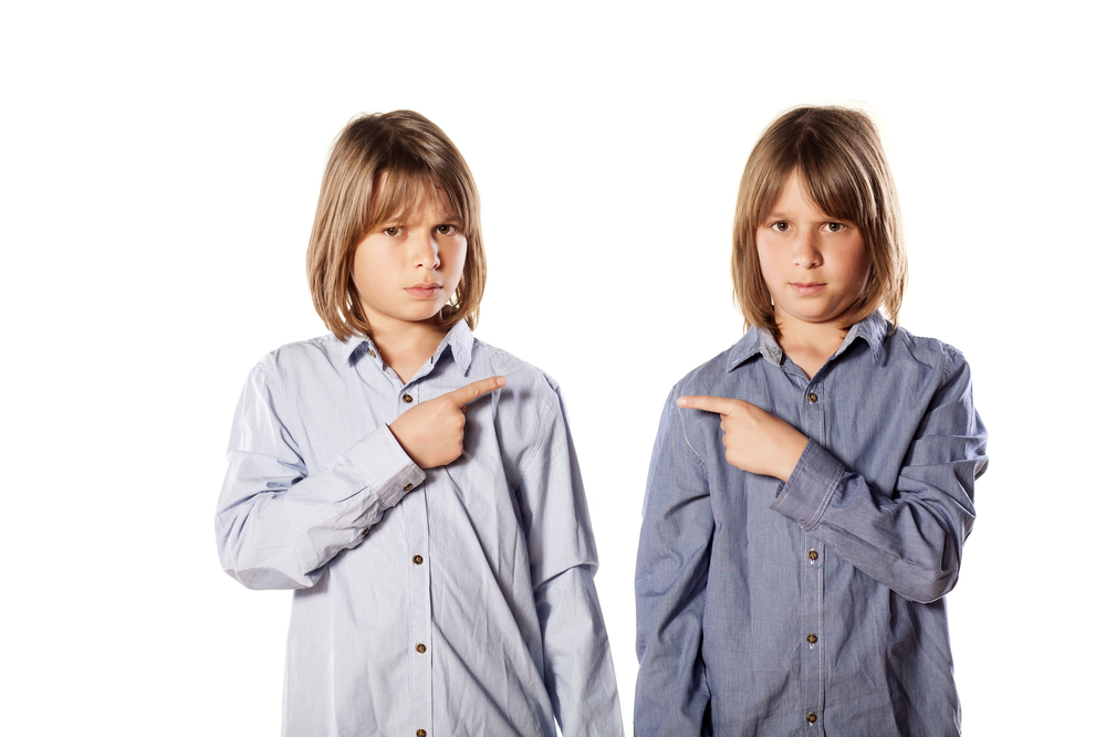 Maryland, the Old Line State, Creates New Lines with Consumer Privacy Law