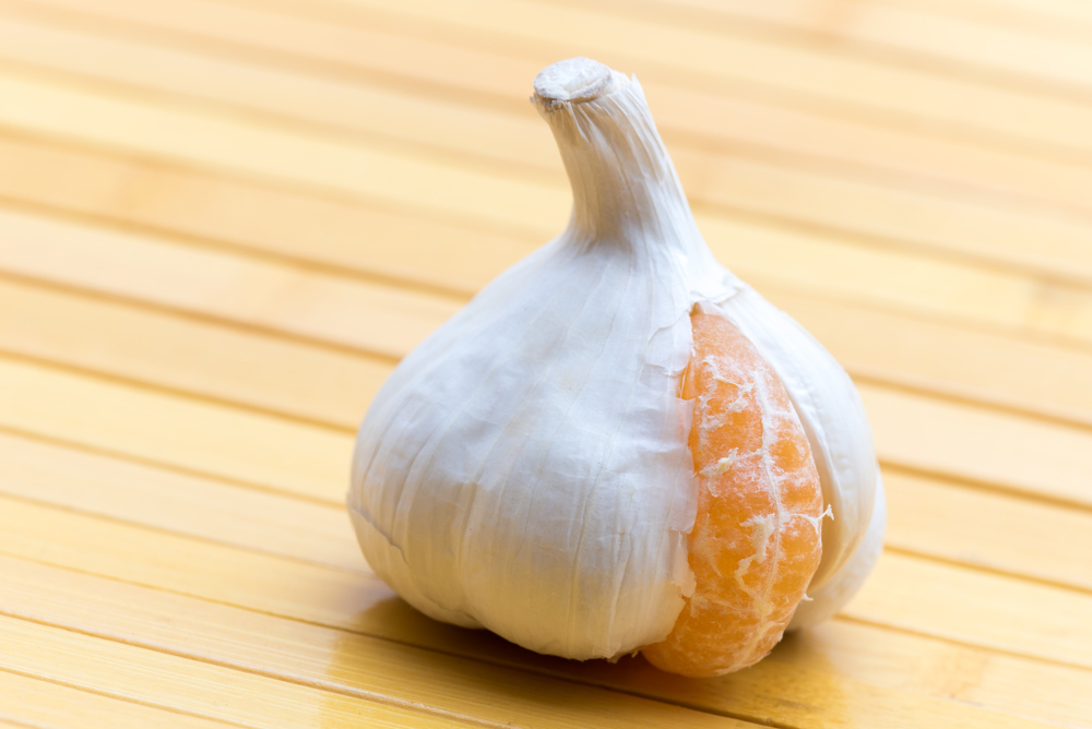 ASBCA Lacks Jurisdiction Over Claim that Is Actually a Bid Protest; Appeal of Spanish Solutions Language Services, ASBCA No. 62233