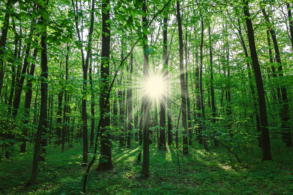 In memoriam: Ambassador Bill Garvelink