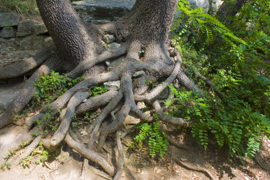 “Two Worlds Collided, and They Will Never Tear Us Apart”? Protester’s Sole Successful Protest Argument Was Severable From Its Unsuccessful Arguments; Peraton, Inc.—Costs, GAO B-417358.3