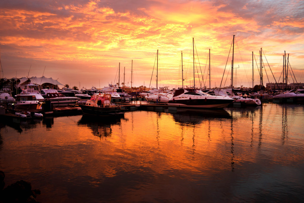 A Failed Constitutional Challenge to the AKS Safe Harbor Provision – More to Come?