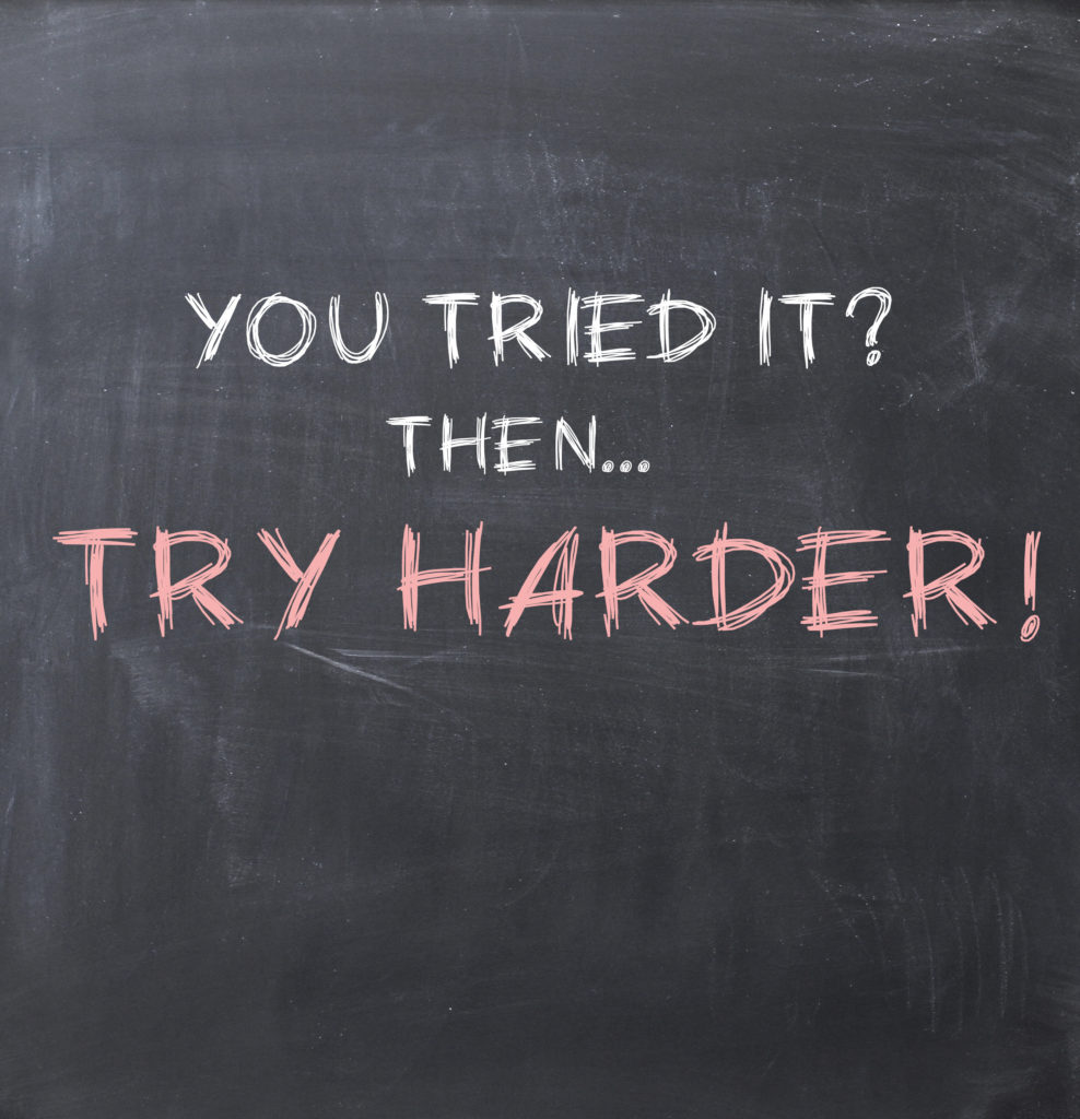 Try Harder! Agency Not Required to Make More of an Effort to Locate Protester’s Past Performance Information; ValidaTek-CITI, LLC, GAO B-418320.2