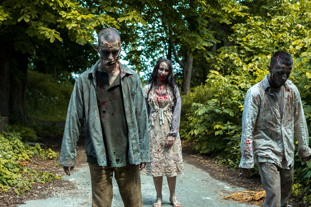 Claimant’s Last-Ditch Attempt to Reanimate Zombie Case Ends in Smoldering Heap; HCIC Enterprises d/b/a HCI General Contractors v. United States, COFC No 18-1943C