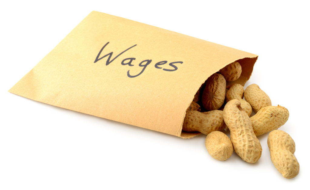 Government Not Required to Help Contractor Retain Workers at Poverty-Level Wages; Appeals of Zalzar FZE , ASBCA Nos. 59545 et al.