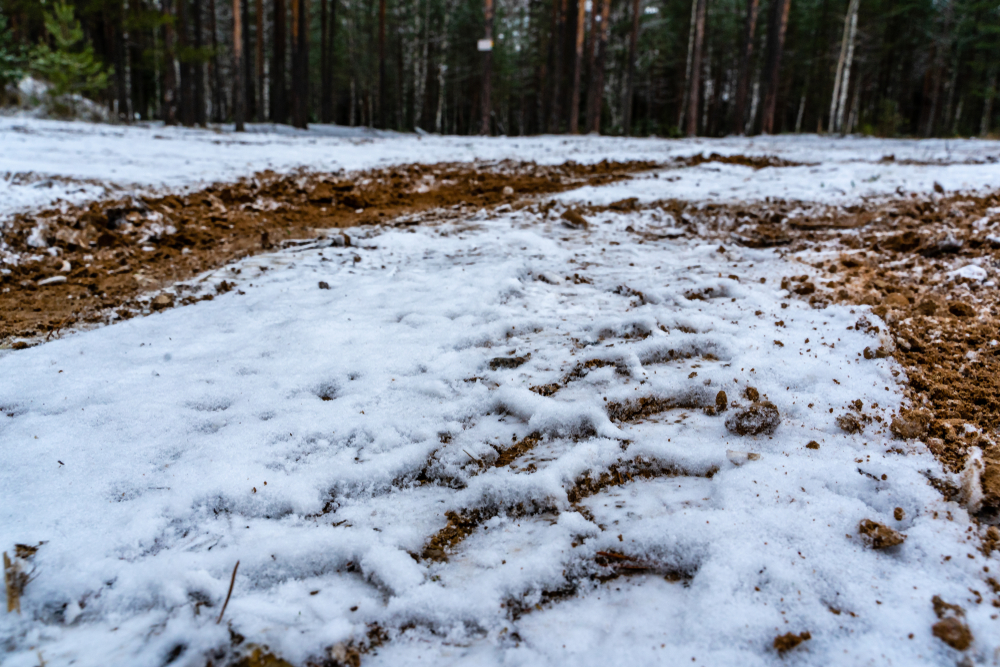 Encountering Frozen Ground in Alaska Is Not a Differing Site Condition; Ahtna Construction & Primary Products Company, LLC. v. Department of Agriculture, CBCA 6892