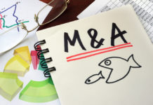 Managing Litigation Risk During the Business Lifecycle, Part 4: M&A Transactions with Government Contractors