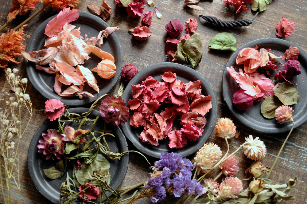 A Procurement Potpourri