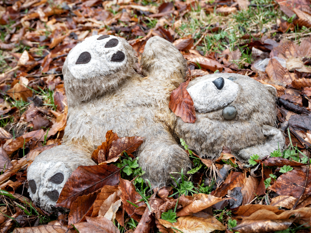 The Demise of Disadvantaged Business Enterprises