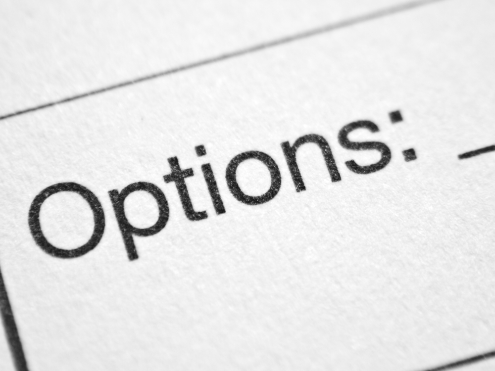 GAO Reaffirms that Agency’s Decision to Not Exercise Options is Not a Procurement; VanderHouwen & Associates, GAO B-419706