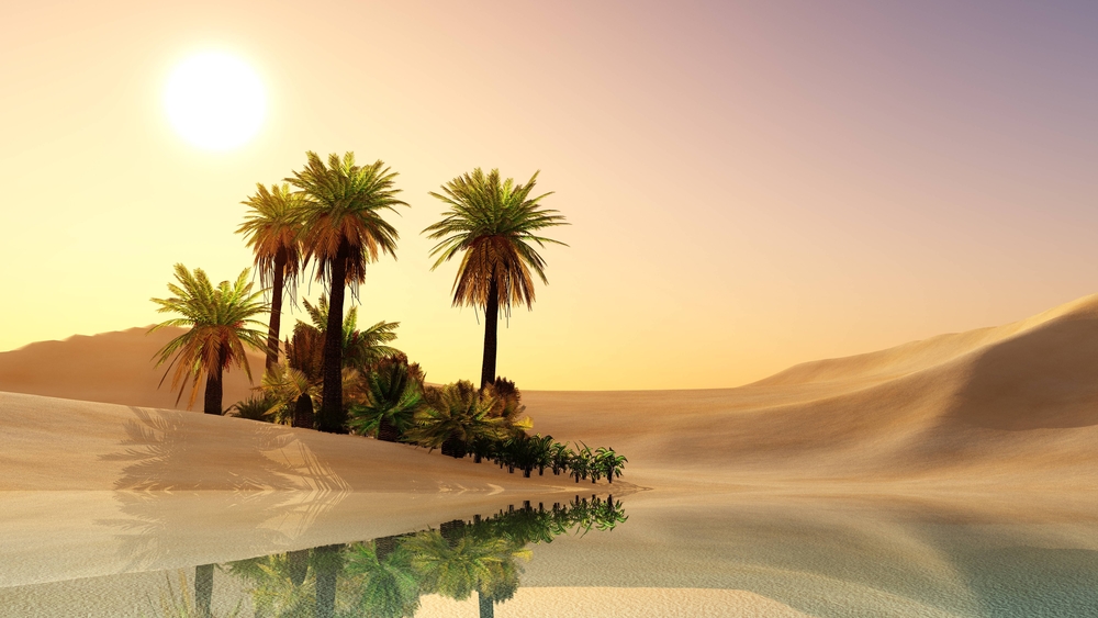 OASIS Follow-On: The $10 Billion Question