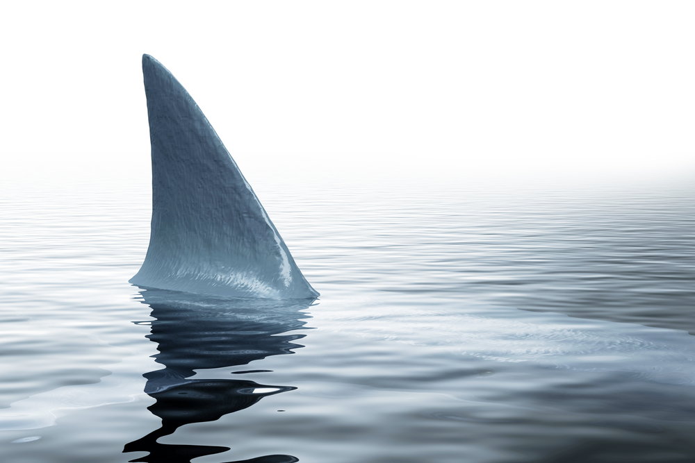 Just When You Thought It Was Safe To Go Back In The Water . . . The 11th Circuit Revives Executive Order 14042