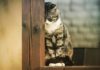 Is It In the Price? Failing to Ask Questions Before Bidding Costs Contractor $334,000