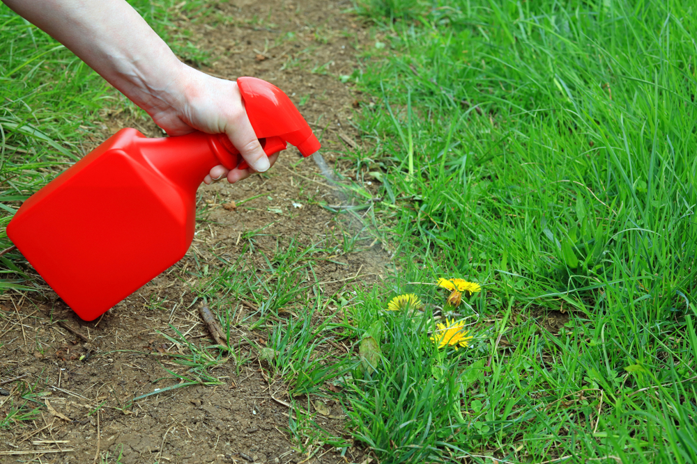 Protester Can’t Overcome Past Performance Issues Caused by “Excessive Amount of Noxious Weeds”; Stevenson Intermountain Seed, Inc., GAO B-420086