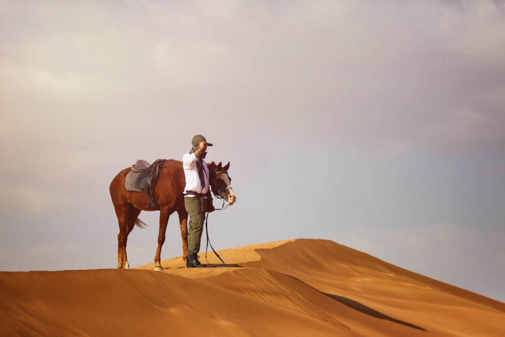 Contractor Rides Into CBCA on “a Horse With No Name,” Unable to Enforce an Illusory Contract; OWL, Inc. v. Department of Veterans Affairs, CBCA 7183