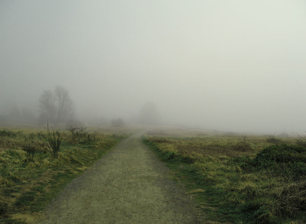 Opaque Factual Record Saves Contractor’s Differing Site Condition Claim from Summary Judgment