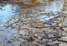 CISA Guidance Targets Water Sector Security, Open Source AI and More