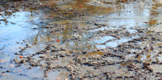 CISA Guidance Targets Water Sector Security, Open Source AI and More