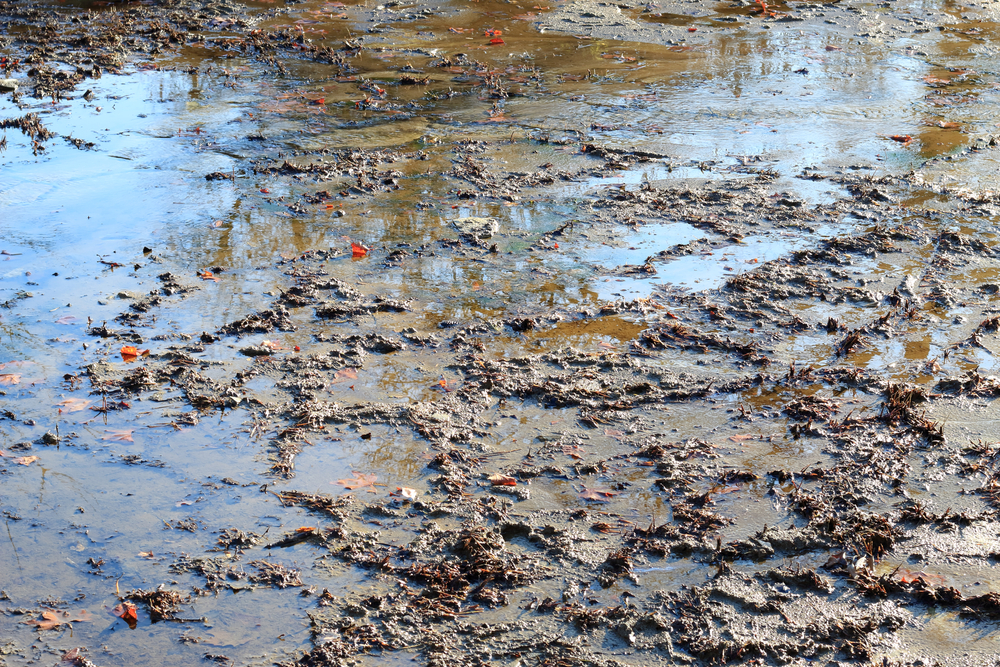 Federal Circuit Decision Further Muddies Path to Compensation for Government Contractors