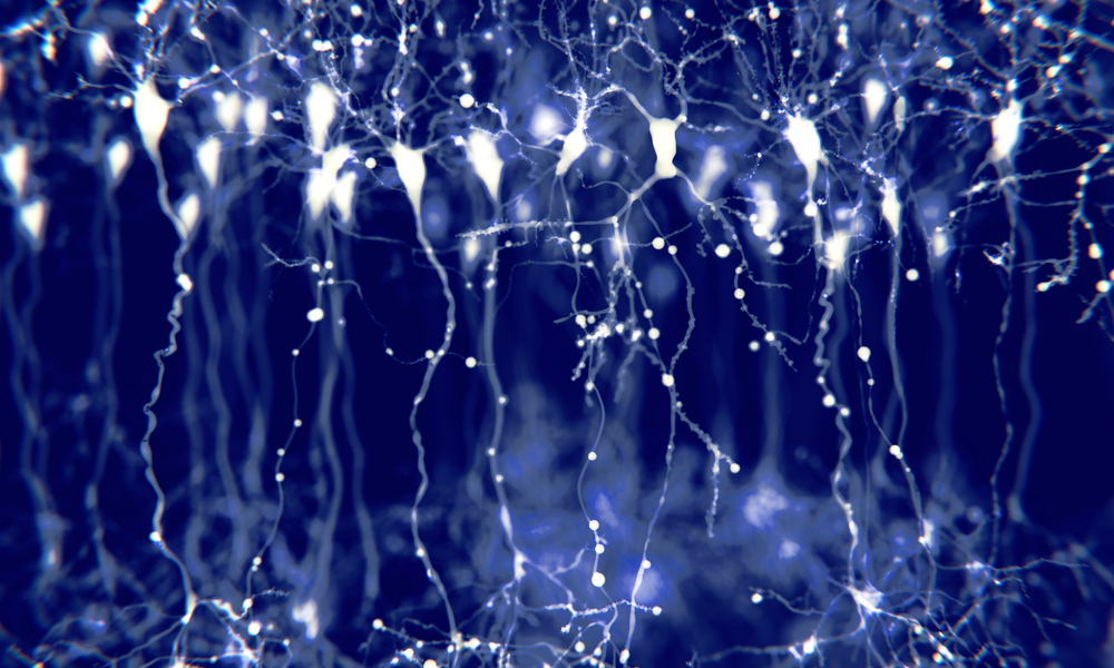 When is Off-Label Marketing Enough to Support a Qui Tam Case?