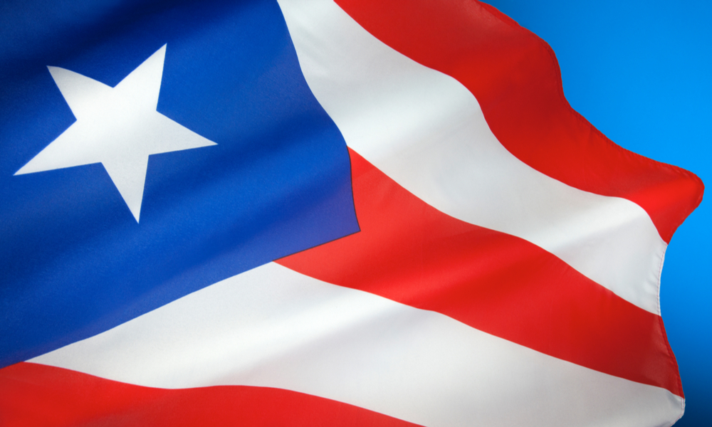 FAR Council Proposed Rule Would Implement SBA Mentor-Protégé Incentives for Puerto Rico, U.S. Virgin Islands, and Other U.S. Territories