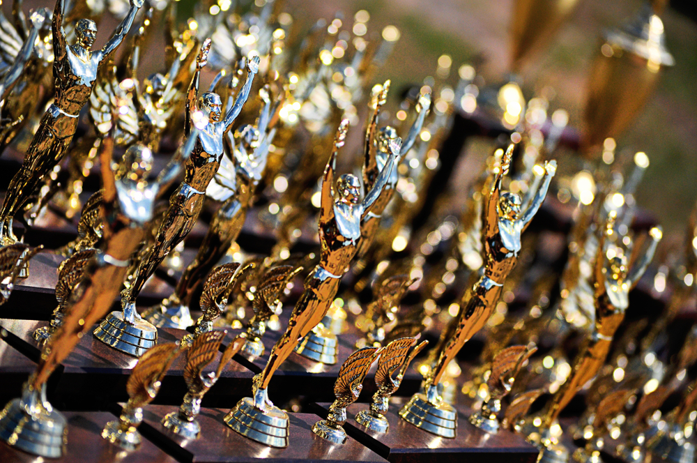 Solicitation Required Contractor to Incentivize Trainees with Rewards. Did the Awardee’s Reward Plan Recognize Achievement or Just Hand Out Participation Trophies?