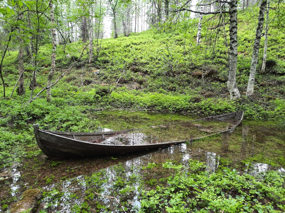 Labor Rates Sunk Leidos’ Bid for $2.4B NSA Contract