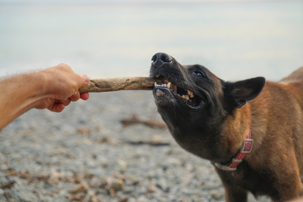 Biting the Hand that Feeds You: Eleventh Circuit Says Small Business Protege Turned on Mentor, Likely Breached Fiduciary Duty