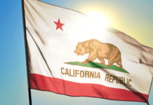 California Jumps into AI Procurement with State Governing Principles in an Executive Order