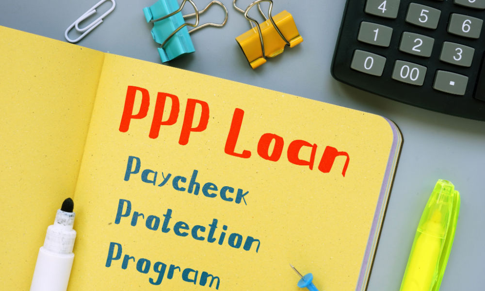 Did SBA Bungle the Review of PPP Loans?