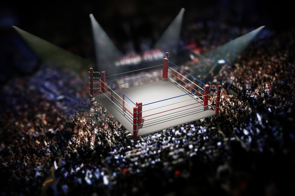 The WWE of Government Contracting: Intervening in a Bid Protest