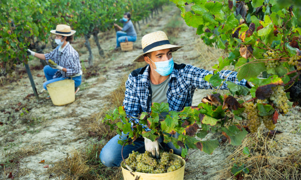 DOJ OIG: Grantee Failed to Require Detailed Budgets from Subrecipients