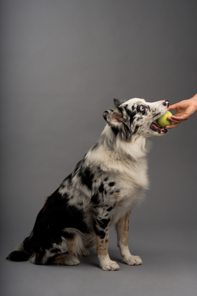 Amentum Fights to Keep Lost DTRA Contract