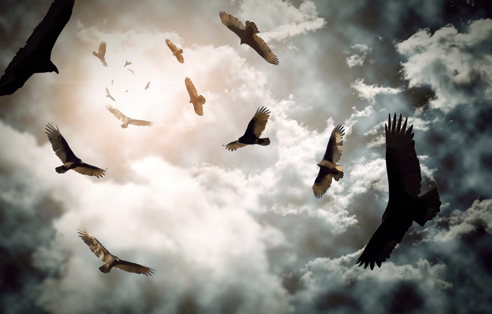 Protests Circle Around $1B Interior Cloud Award