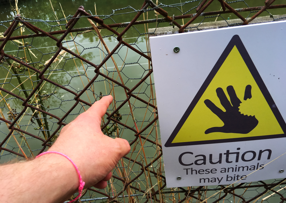 How Bad Would a Government Shutdown Really Be?