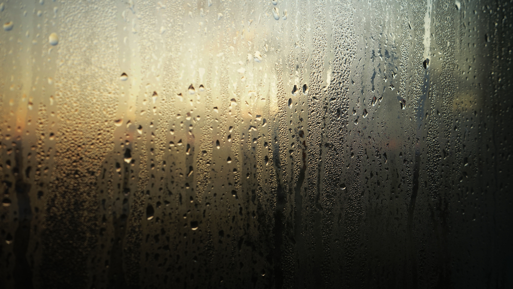 The Corporate Transparency Act is Unconstitutional—But Only for Some Companies