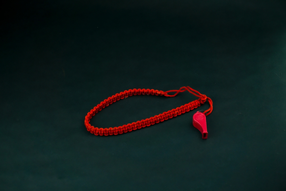 Whistleblower Defendant Argues that the Law is Unconstitutional