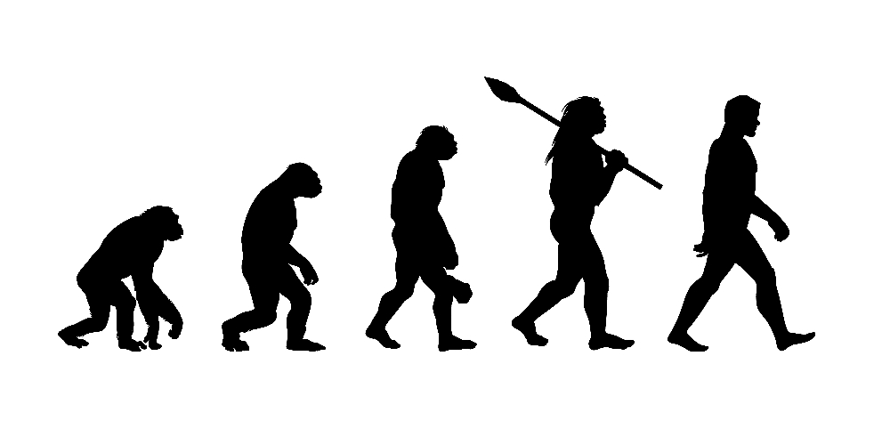 The Evolution of the Compliance Profession