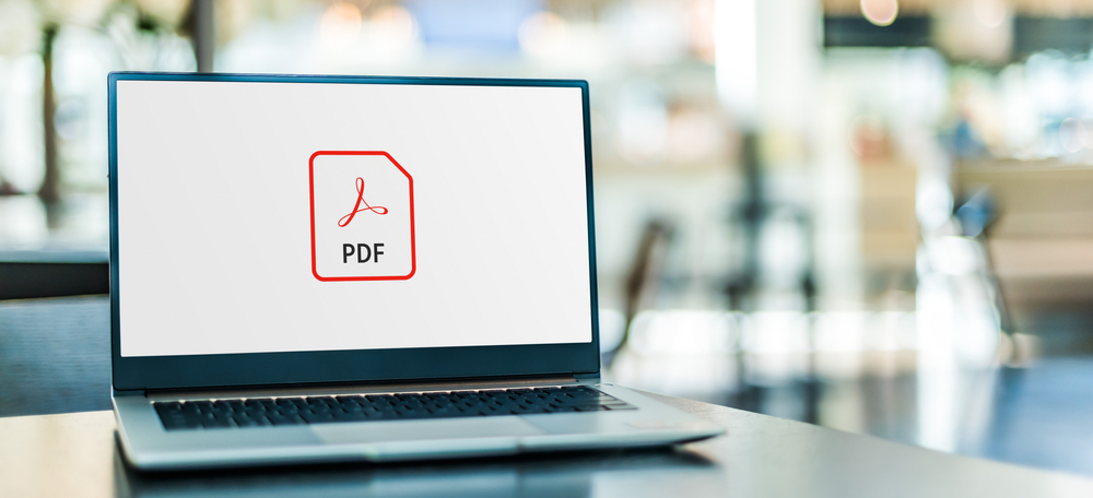 If the Solicitation Says Submit the Original, Fillable PDF, Don’t’ Even Think About Submitting a Non-Fillable Copy
