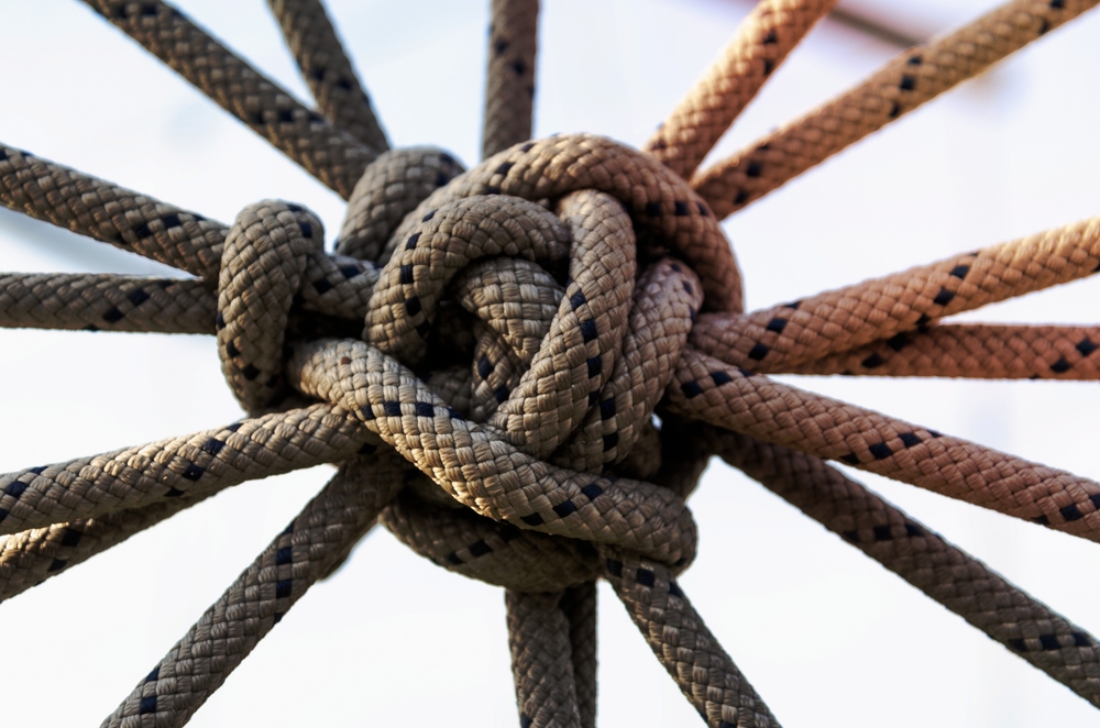 GAO Dismisses After Protester Entangles Itself in Procedural Knots