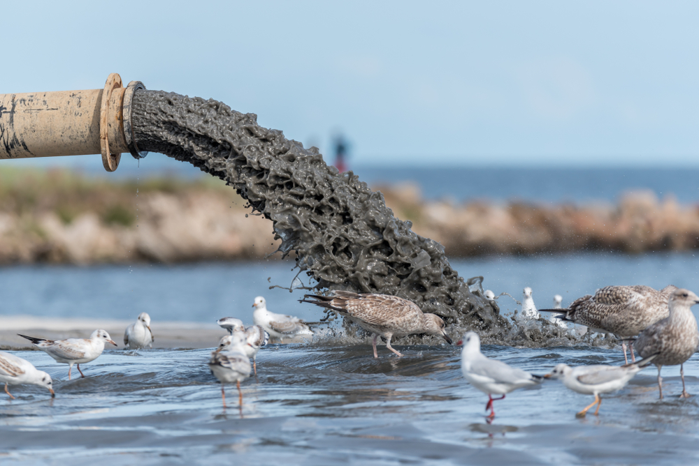 Stuck in the Muck: Contractor’s Failure to Remove Sludge Mires Its Appeal