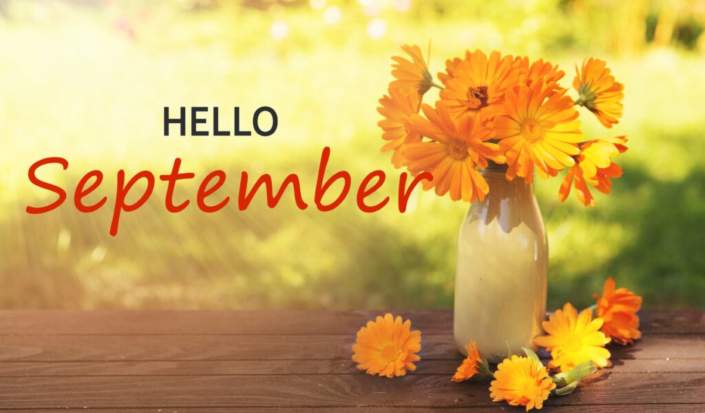 What Will September Bring?